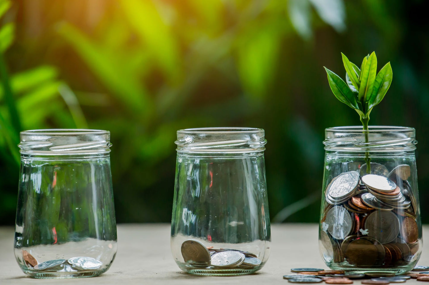 Back to Brilliance Tax Series: Profit for purpose – being brilliant at donations and dividends tax