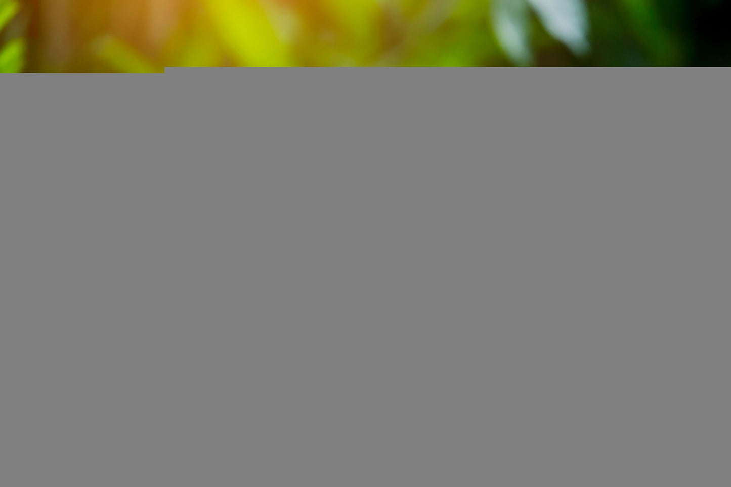 Back to Brilliance Tax Series: Profit for purpose – being brilliant at donations and dividends tax
