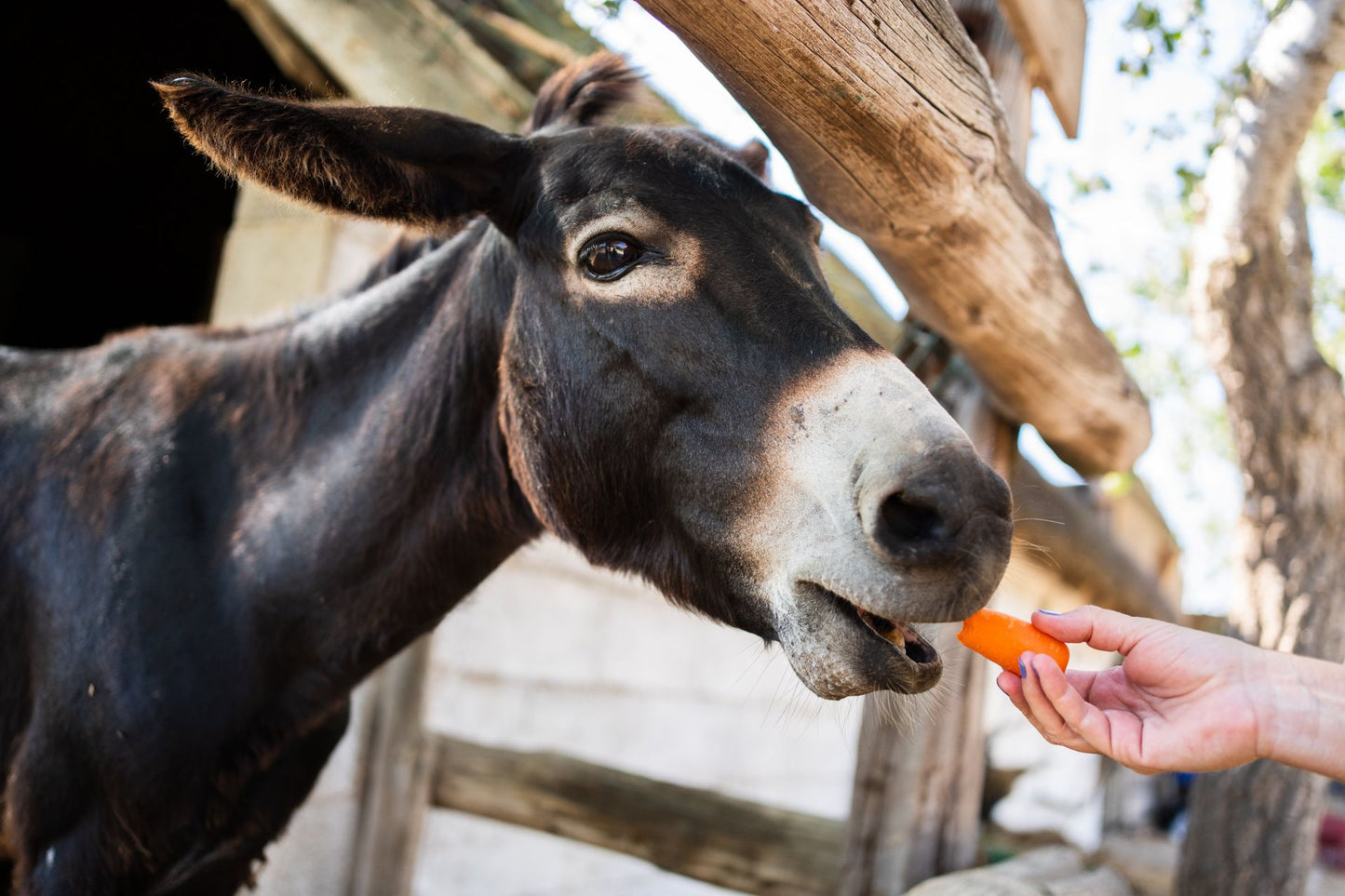 Strategizing around people management – is the carrot still worth the stick?