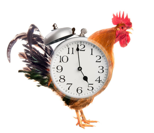2024 Early Bird Annual CPD Package