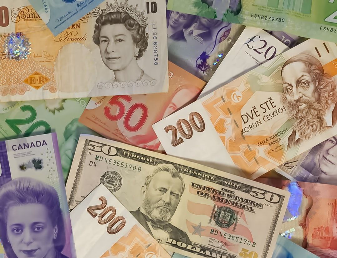 Specialised sections affecting SMEs