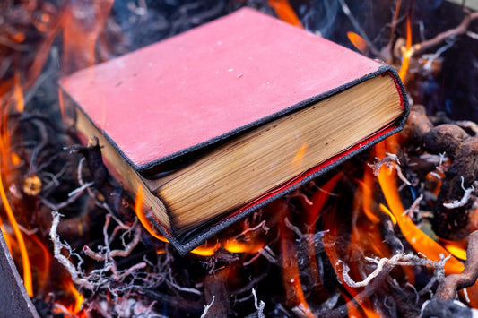 Burning the textbook on valuations – how do I value anything in a time of social media madness?
