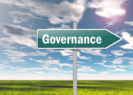 Governance in Focus: Navigating the Auditing Profession Act