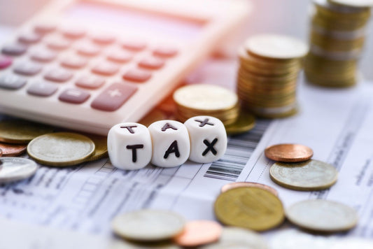 Katinka Brand – Individual Tax Simulation (IAS)