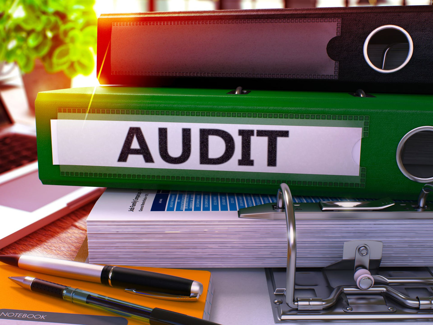 New auditing standard: Less complex entities