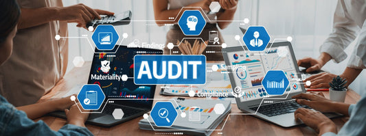 The 2026 Annual Audit and Assurance Update for Professionals