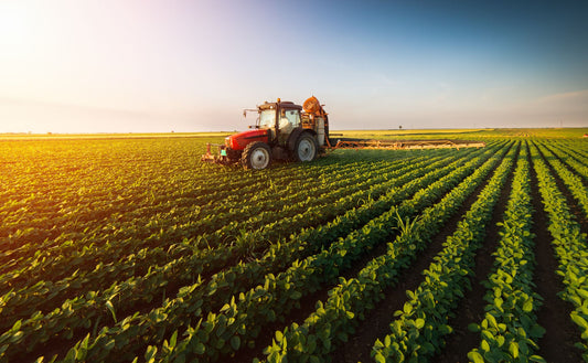 Section 34 of the IFRS for SMEs dealing with “Agriculture”