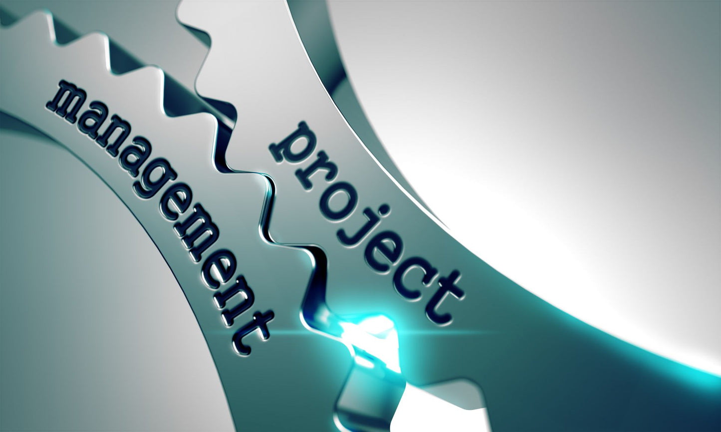 The critical milestones to successful project management