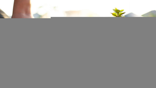 Constructive conversations: Receive and use feedback for growth