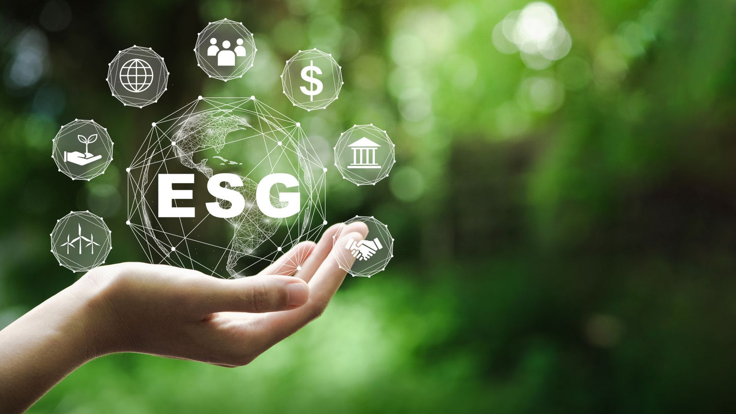 ESG 101 – an intro to environment, social and governance reporting