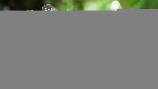 ESG 101 – an intro to environment, social and governance reporting