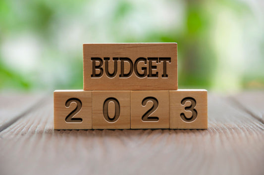 Budget 2023: What is National Treasury up to in the latest budget speech of the Minister of Finance?