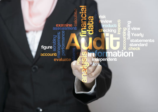 The 2024 Annual Audit and Assurance Update for Professionals