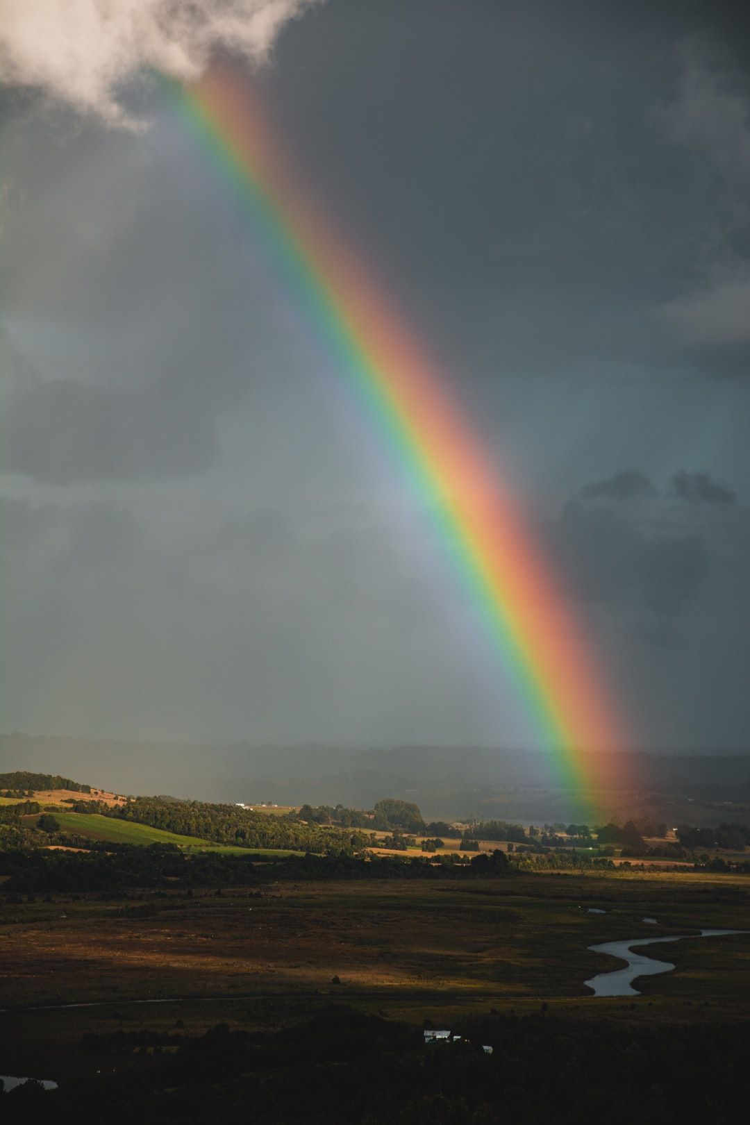 Diversity, Equity and Inclusion (DEI): How can I leverage our rainbow nation to become a personal citizen SA can be proud of?